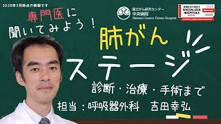 肺がんの診断・治療・手術：肺がんのステージ【国立がん研究センター中央病院】