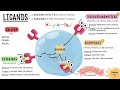 c2.1 chemical signalling ib biology hl