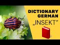 Insect | Dictionary ⭐⭐⭐⭐⭐ Learn German