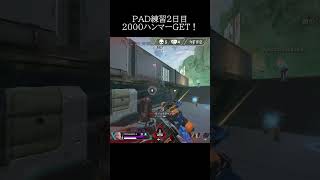 【APEX】PAD成長記録2日目 #apex #apexlegends #shorts