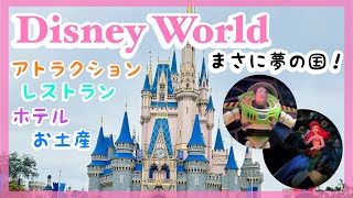 【ディズニーワールド in フロリダ】☆大人気アトラクション、ホテル、レストラン、お土産♪トイストーリー、スターウォーズ等。楽し過ぎた家族旅行！◆英語・over the moon