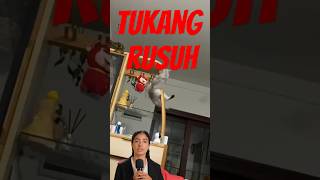 Kumpulan kucing bikin rusuh dan hancur #funny #cat #catlover #short