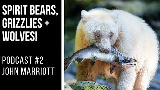 PODCAST #2: John Marriott - Spirit Bears, Grizzlies and Wolves!