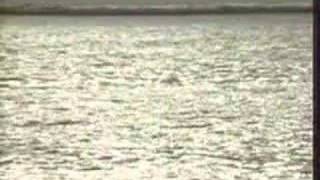 Bai Tango cho em - Tuan Vu