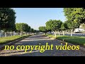 Taif city trees |  trees between the city road | Taif green city |  copyright free videos by CFV