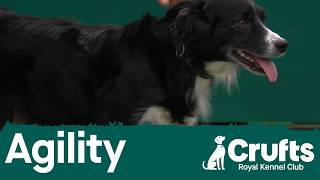 Championship – Intermediate/Large - Agility Final | Crufts 2026