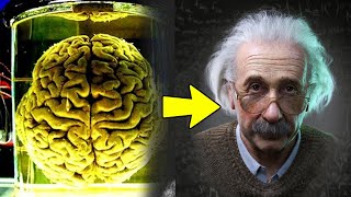 Albert Einstein का दिमाग क्यों था खास ? Some Unknown Information Related Albert Einstein
