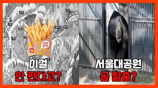 서울대공원의 소름 돋는 비밀 14가지 [상식한바퀴]