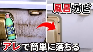 浴室エプロンのカビを簡単に落とす方法