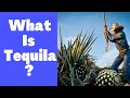 What is Tequila? It's History and Myths/ Let's Talk Drinks