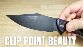 THE BEST BUDGET CLIP POINT EDC KNIFE CIVIVI SINISYS REVIEW