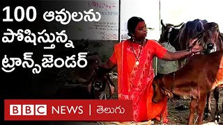 గాయపడ్డ ఆవుల కోసం గోశాల నడుపుతున్న ట్రాన్స్‌జెండర్ | BBC Telugu