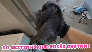 🥵 6 HORAS LIMPANDO ISSO 😱 ESTAVA PÉSSIMO VOCÊS NÃO IMAGINAM O QUE TINHA ATRÁS DA MAQUINA 😳