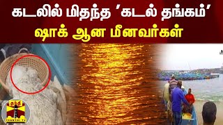 கடலில் மிதந்த 'கடல் தங்கம்'.. ஷாக் ஆன மீனவர்கள்.. 28 கோடி ரூபாய் மதிப்பு | Whale vomit  Kerala