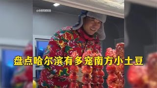 盘点哈尔滨有多宠南方小土豆们，让地道的东北人都羡慕了