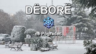 Dëbora mbulon Pogradecin, pamje të qytetit#story #snow #snowfall #pogradec #winter