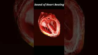 Sound of Heart Beating || #heartbeating #ayurveda #heart #medicine #4kstatus #trendingshorts #shorts