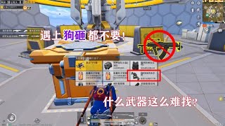 明月：S686一喷一个！遇上狗砸都不要！什么武器这么难找？