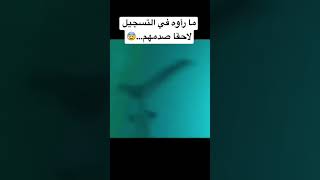 دليل على ان حورية البحر موجودة 🧜🏼‍♀️ #shorts