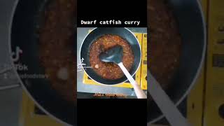 Burmese Style dwarf catfish curry_ငါးစင်ရိုင်းအိုးကပ်