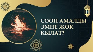 Сооп амалды эмне жок кылат?