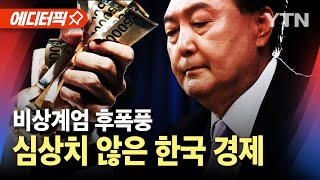 [에디터픽] 심상치 않은 한국 경제...비상계엄 후폭풍 / YTN