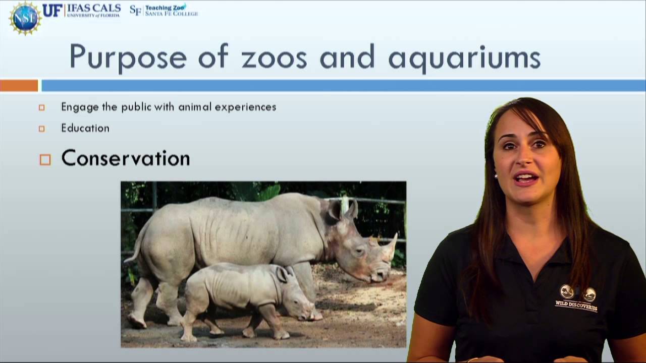 Why We Study Animal Behavior - YouTube