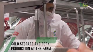 Cold storage and pork production at the farm - TvAgro By Juan Gonzalo Angel