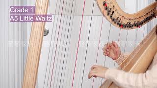 [豎琴家族-荃灣及沙田分店] ABRSM Harp exam Grade 1 A5 Little Waltz #學豎琴 #豎琴班 #豎琴課程