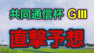 【競馬】予想 共同通信杯 2020