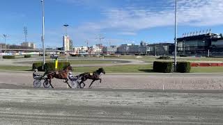 Banjobb Solvalla. I spets: Global Assurance. Utvändigt: Devs Dandelion