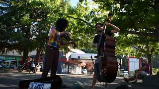 Jacques Mindreau Saturday Market Buskers (Salt Spring Island 2017)