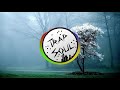 Post Malone - Better Now (Romen Jewels Remix)