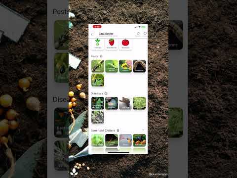 Planter app