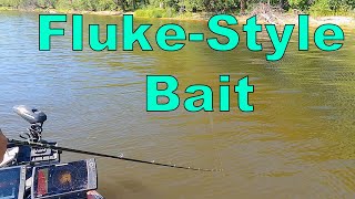 How to PERFECTLY fish a Fluke-Style Bait with Pat Schlapper