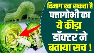 पत्तागोभी खाने से दिमाग में घुस जाते हैं कीड़ें! | Cabbage Tapeworms Facts | Sadhna Health