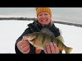 discovering lake gogebic jumbo perch big bucks vfw deer feed