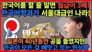 한국어를 하면 월급이 3배인 나라, 일본이 40년 들인 공을 한국에게 모두 빼앗기는 상황