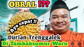 obral⁉️ durian trenggalek di tambaksumur waru #suasanamalamhari