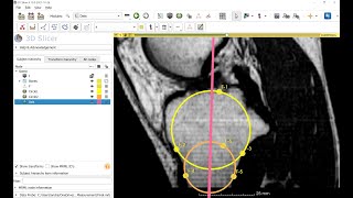 Custom interactive measurement using Python scripting
