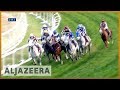 🇶🇦 Qatar hosts international horse racing festival | Al Jazeera English