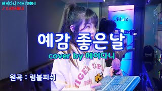 ['메이다니'혼노] 럼블피쉬 - 예감좋은날 (cover by MAYDONI)_Live
