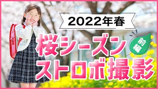 【ストロボ撮影】2022年桜シーズン、プロカメラマンの出張撮影！前編【総勢30組以上・作品多数掲載】