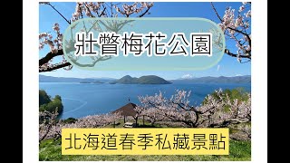 +北海道旅遊+賞櫻花之後!! |春天私藏熱門景點壯瞥梅花公園 | 洞爺湖周邊景點