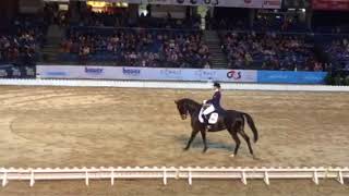 Tallinn International Horse Show 2017