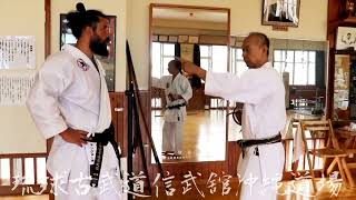 琉球古武道信武舘 • Ryukyu Kobudo Shimbukan • Kaicho Hiroshi Akamine \u0026 Sensei Carlo Mangione Shimbukan Italia