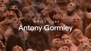 In Focus: Antony Gormley’s Amazonian Field | White Cube