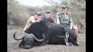 Bowhunting buffalo, sable and more, in South Africa, at Dries Visser Safari.