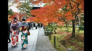 Japan‘s autumn 2017 — GoPro Hero5