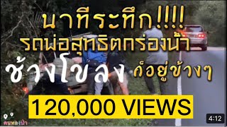 นาทีระทึก!! รถพ่อสุทธิตกร่องน้ำ ช้างโขลงอยู่ในระยะประชิดหน้ารถเลย #คนหลงป่า #ช้างป่าเขาใหญ่ #เขาใหญ่